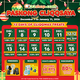 12 Days of Christmas Treats!